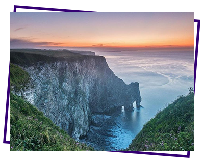 Bempton Cliffs