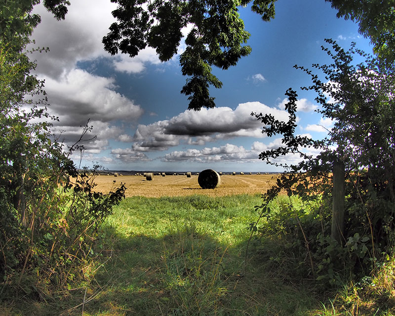 Lincolnshire Wolds, Countryside